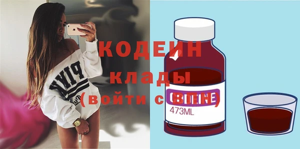 крисы Богородицк