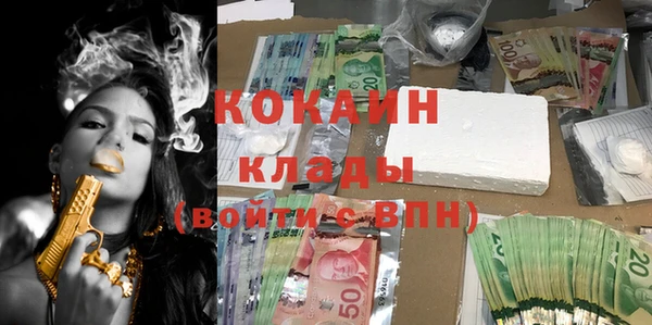 крисы Богородицк