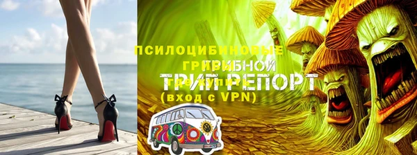 крисы Богородицк