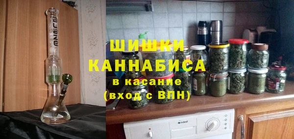 крисы Богородицк