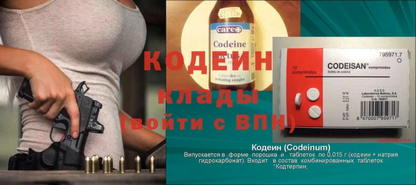 крисы Богородицк