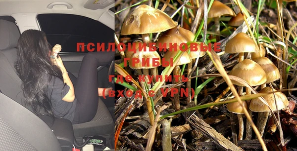 хмурый Богородск