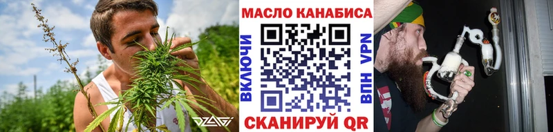 продажа наркотиков  Елизаветинская  ТГК гашишное масло 