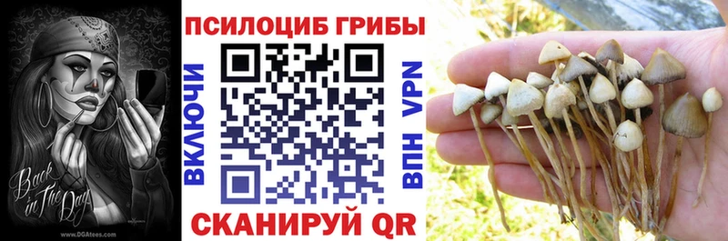 KRAKEN рабочий сайт  Елизаветинская  Псилоцибиновые грибы мицелий 